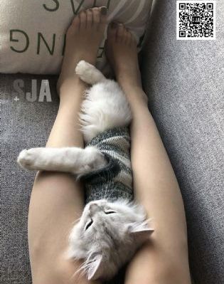 日产av在线播放_蓝光电影在线看