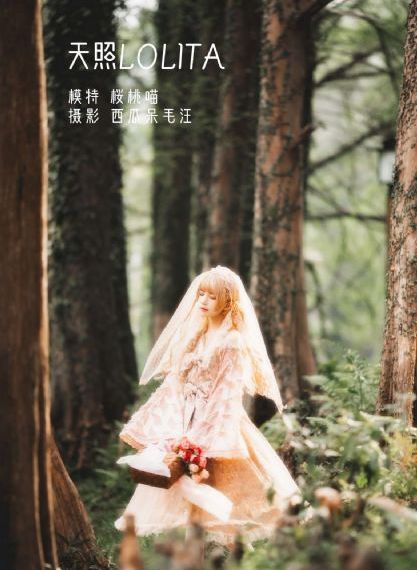 四虎影视全天24小时在线观看_高清免费观看视频